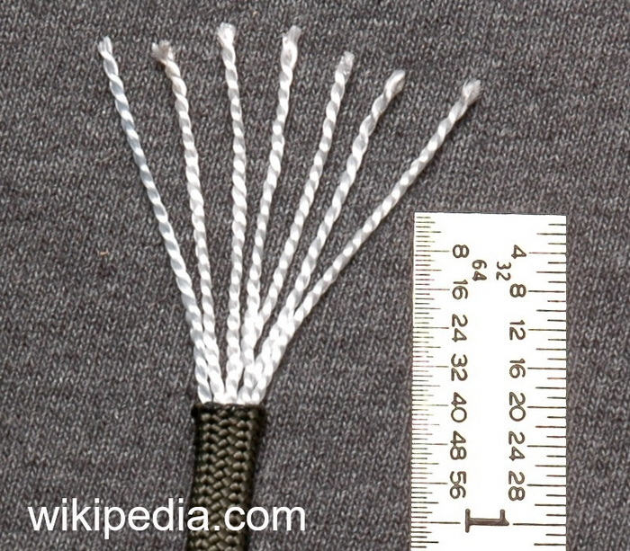 Paracord Querschnitt
