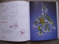 Blütenzauber mit Origami / Jens-Helge Dahmen (Knaur 2008)