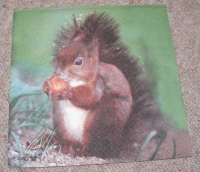 Servietten - Eichhörnchen  (ca. 33cm Papierserviette)