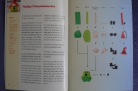 Schlenker-Kerle aus Fimo® / L. Bastian (Chrostphorus 2009)