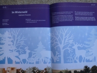 Traumhaft schöne Fensterbilder / Pia Pedevilla (Topp 2010)