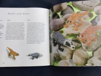 Perlentiere bunt & plastisch / I. Moras (Christophorus 1999)