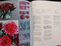 Naturspuren / Sirpa Lutz (Webkante 2012)