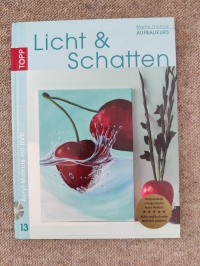 Licht und Schatten / Martin Thomas (Topp 2011) mit DVD