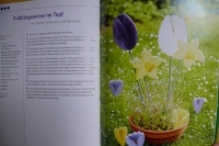 Bunte Garten-Stecker / Alice Rögele (Topp - 2016)