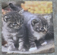 Servietten - 2 Katzen (ca. 25cm Cocktail-Papierserviette)
