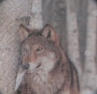 Servietten - Winter, Wolf, Eule  (ca. 33cm Papierserviette)