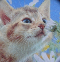 Servietten - schnüffelnde Katze (ca. 33cm Papierserviette)