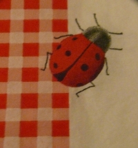 Servietten - Marienkäfer / kariertes Rot  (ca. 33cm Papierserviette)