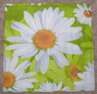 Servietten -  Margeriten (33cm Papierserviette)