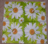 Servietten -  Margeriten (33cm Papierserviette)