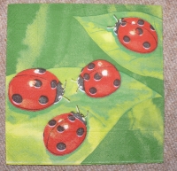 Servietten - 4 Marienkäfer auf grün (ca. 33cm Papierserviette)