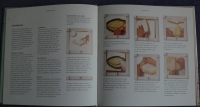 Kreatives Gestalten mit Gips / Plowman (AT 1996)