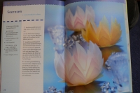 Papierfalten (Transparentpapier) / M. Vogelbacher (Topp - 2004)