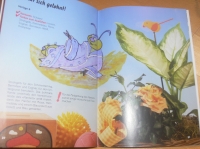 Primel und seine Freunde / Window Color (Ridinghaus - 2000)