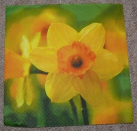 Servietten - Osterglocke  (ca. 33cm Papierserviette)