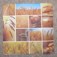 Servietten - Getreide / Brot (ca. 33cm Papierserviette)