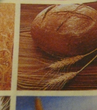 Servietten - Getreide / Brot (ca. 33cm Papierserviette)