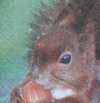 Servietten - Eichhörnchen  (ca. 33cm Papierserviette)