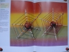 Bastelspaß mit Naturmaterial / Ch. Gall (kreativ 1999)