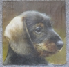 Servietten - Dackel  (ca. 33cm Papierserviette)