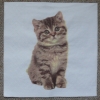 Servietten - Katze auf weiss (hell)  (ca. 33cm Papierserviette)