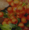 Servietten -  Herbst-  'Autumn'  (33cm Papierserviette)