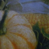 Servietten - Kürbis Mais - Gelb kariert (ca. 33cm Papierserviette)