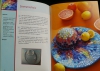 Farbenfrohes Mosaik / Ingrid Moras (Christophorus - 2006)