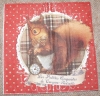 Servietten - Eichhörnchen mit Brille (ca. 33cm Papierserviette)