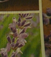 Servietten - Lavendel / Schleife (ca. 33cm Papierserviette)