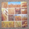 Servietten - Getreide / Brot (ca. 33cm Papierserviette)