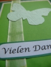 'Vielen Dank' -  Karte (grün - Schmetterling)