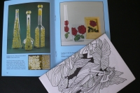 Window Color zu jeder Jahreszeit / Ohmann (Braumann 1998)